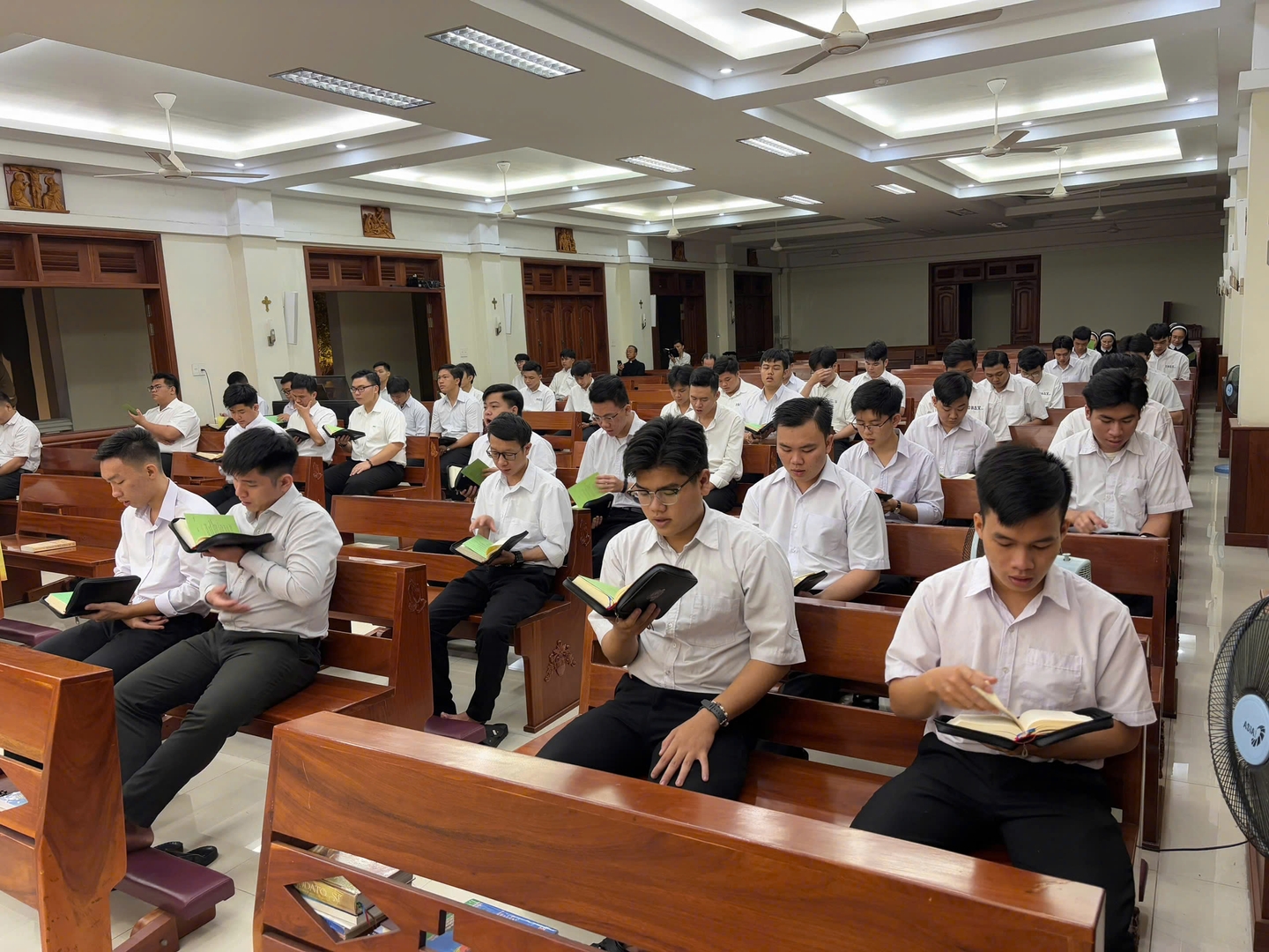 Photo-5